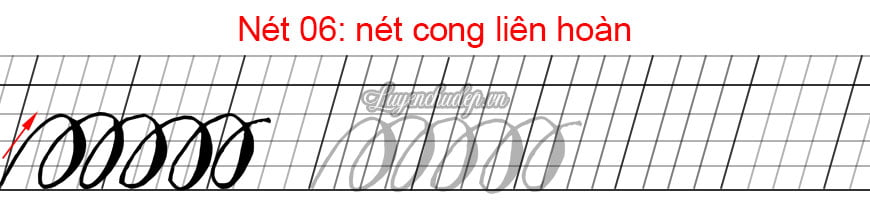 net-06-net-cong-lien-hoan-chst
