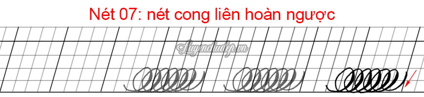 net-7-cong-lien-hoan-nguoc-chst