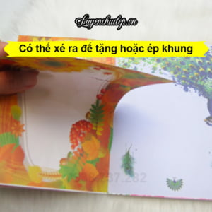 giay-trang-tri-luyen-chu