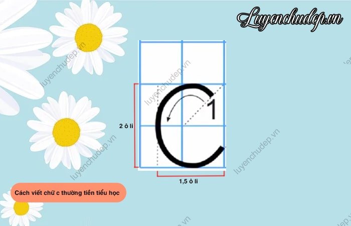 Cách viết chữ C hoa tiền tiểu học