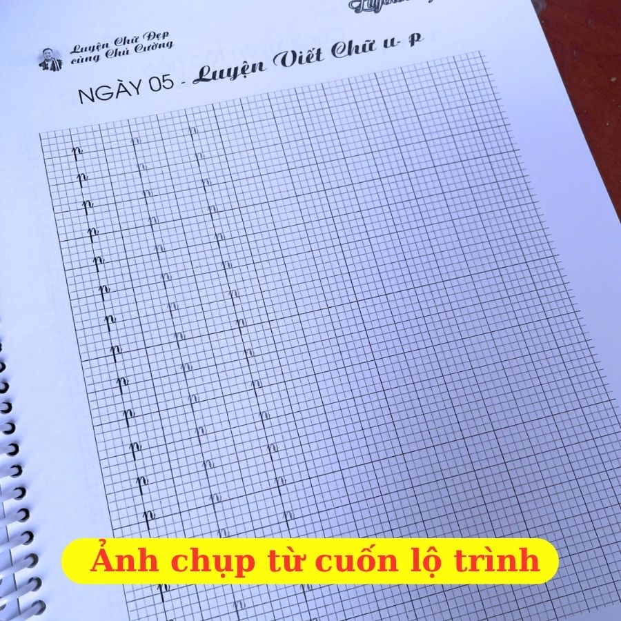 Mẫu chữ lộ trình chữ hoa sáng tạo