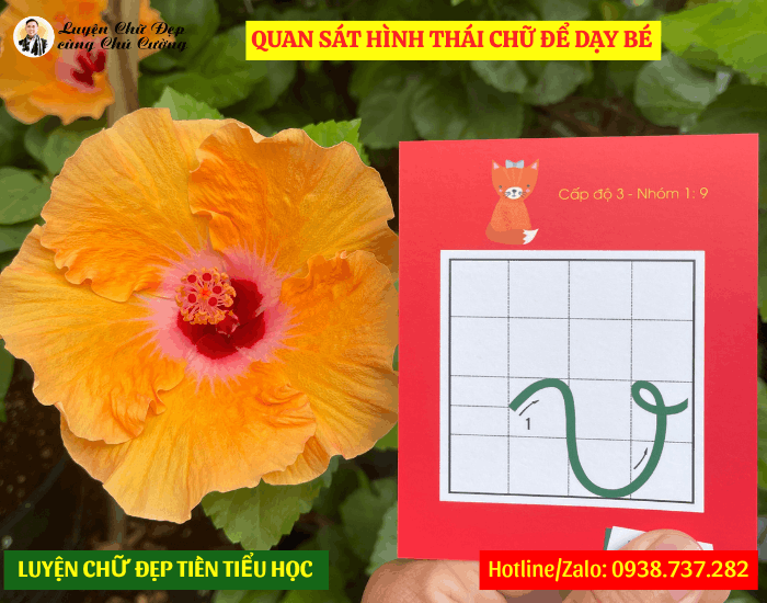 Hình thái chữ cái thế nào dạy bé tiền tiểu học thế ấy
